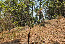 Impact Project Image